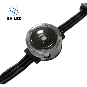 Turistattraktioner Belysning WS2811 LED Pixel